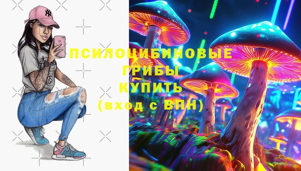 PSILOCYBIN Балабаново